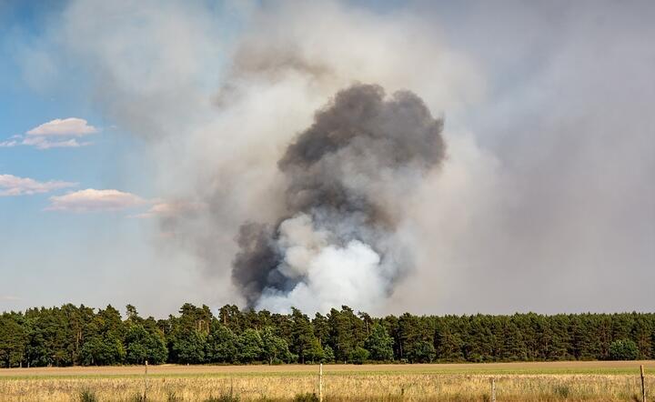 Wypalanie łąk jest ciągle przyczyną wielu bardzo dotkliwych w skutkach pożarów  / autor: Pixabay