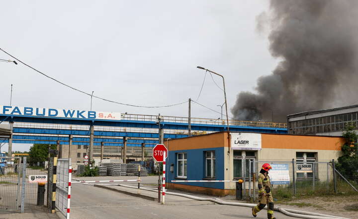Z ogniem walczyło około 40 zastępów strażaków / autor: PAP/Katarzyna Zaremba
