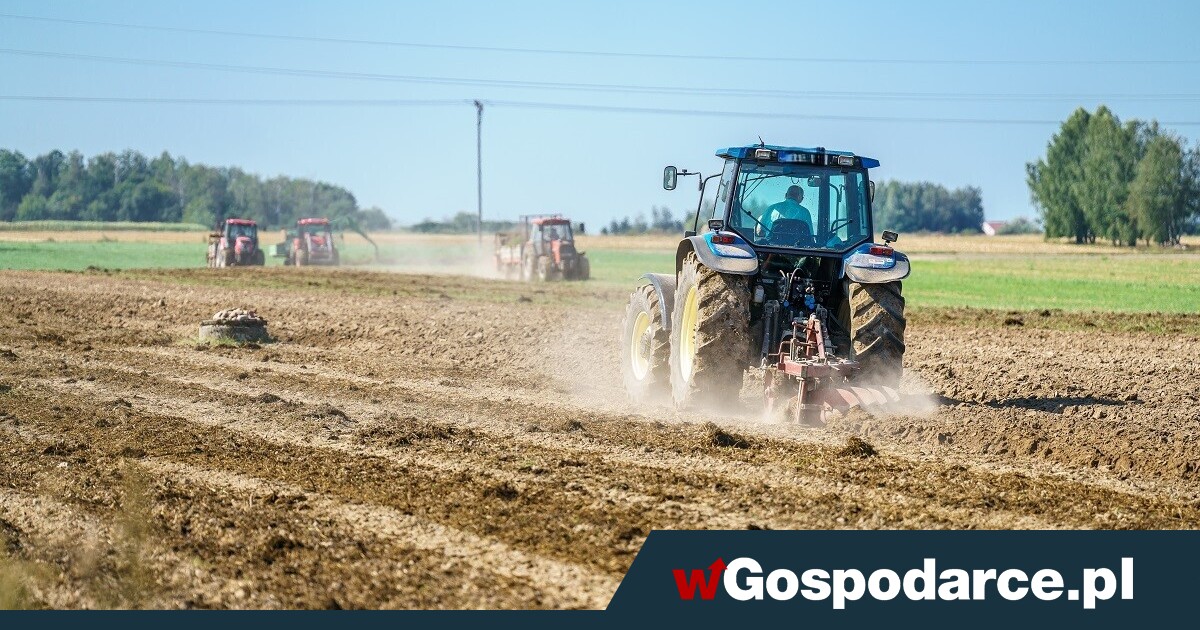 Czy 19 listopada zapadnie wyrok na polskie rolnictwo?