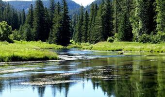 Będą większe zyski z siłowni wodnych