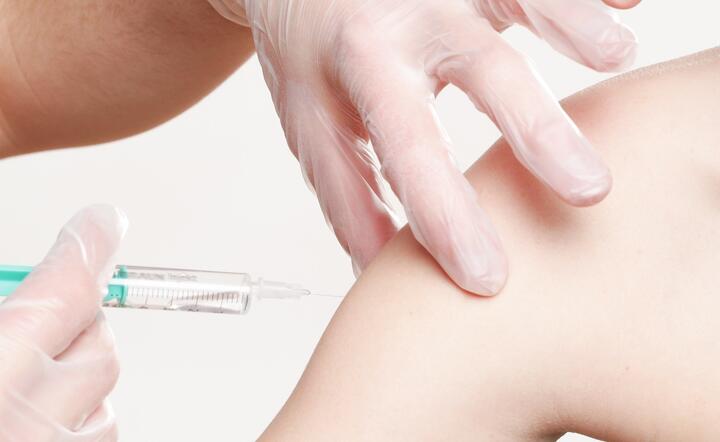 Niemcy mogą już testować szczepionkę na covid-19 / autor: Pixabay