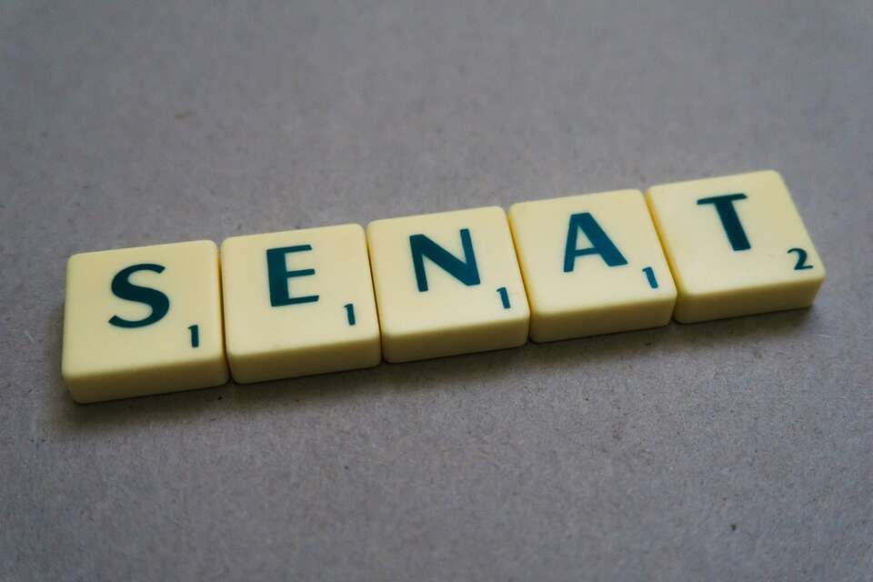 TYLKO U NAS. Pęk o ew. pakcie senackim PiS i Konfederacji