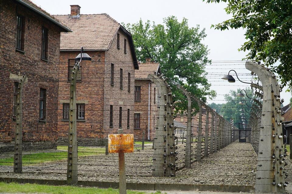 Auschwitz  / autor: fratria 