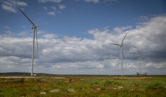 Orlen kupuje kolejne farmy wiatrowe