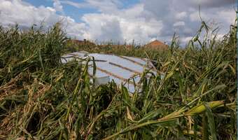 Jaką pomoc dostaną rolnicy po nawałnicy?