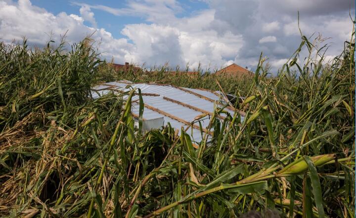 autor:  	PAP/Marek Zakrzewski