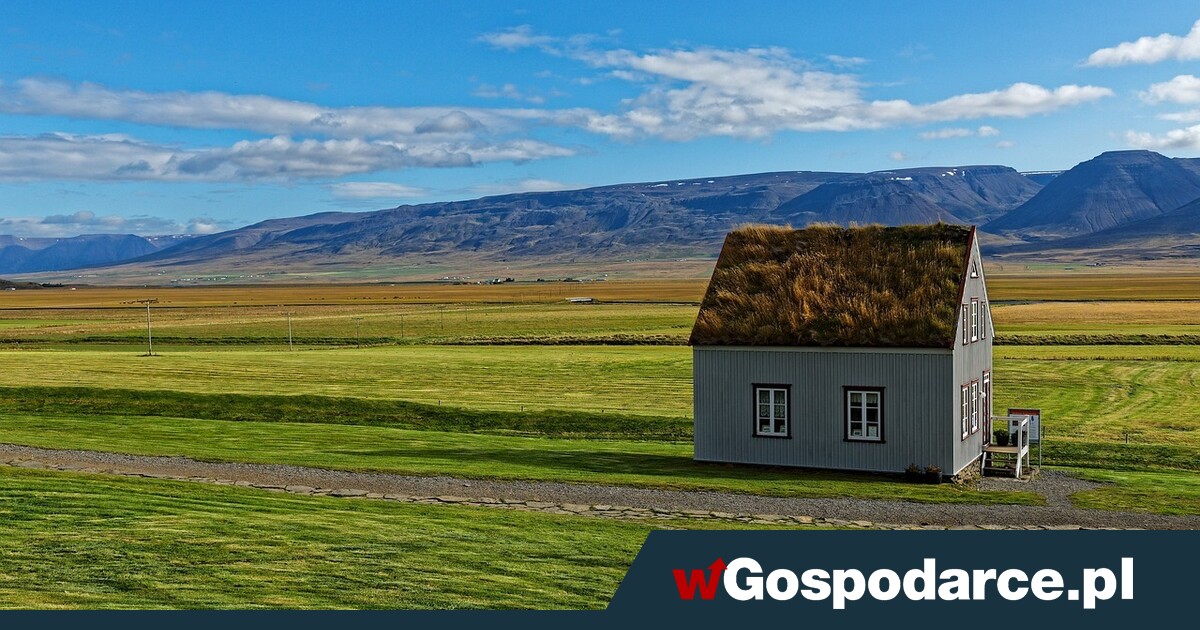 Mieszkania do lamusa: Polacy wybierają domy