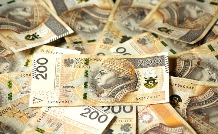 Premier: Rząd rozważa możliwość podniesienia płacy minimalnej powyżej 2450 zł brutto na rok 2020 / autor: Pixabay