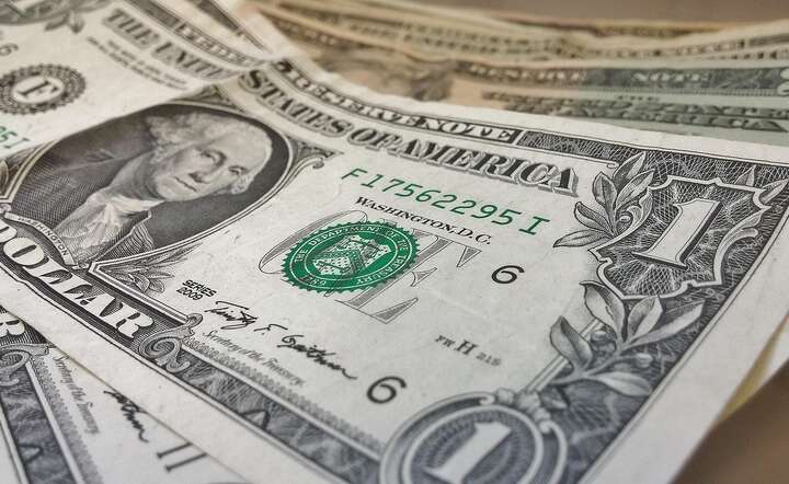 Dolar jest nieco słabszy na większości ustawień / autor: Pixabay
