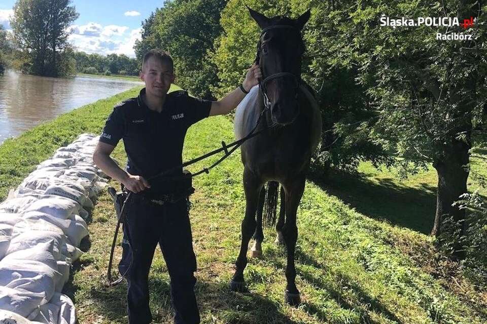 Policjant z uratowanym koniem / autor: KPP w Raciborzu