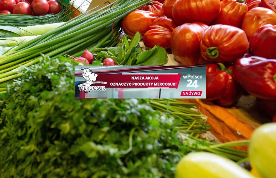 autor: Fratria/Telewizja wPolsce24