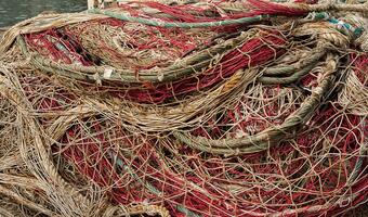 Rybacy zaniepokojeni propozycjami limitów połowowych na dorsza