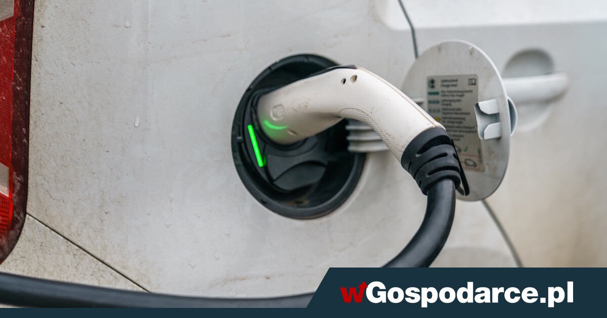 Kto kupuje? O 70 proc. więcej aut elektrycznych w Polsce