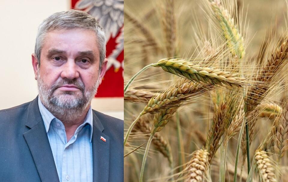 Ardanowski: Polski rynek zbóż nie może być niszczony