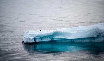 Zaleje nas woda? Antarktyda topi się coraz szybciej!