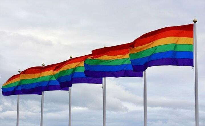 LGBT Pride / autor: Pixabay