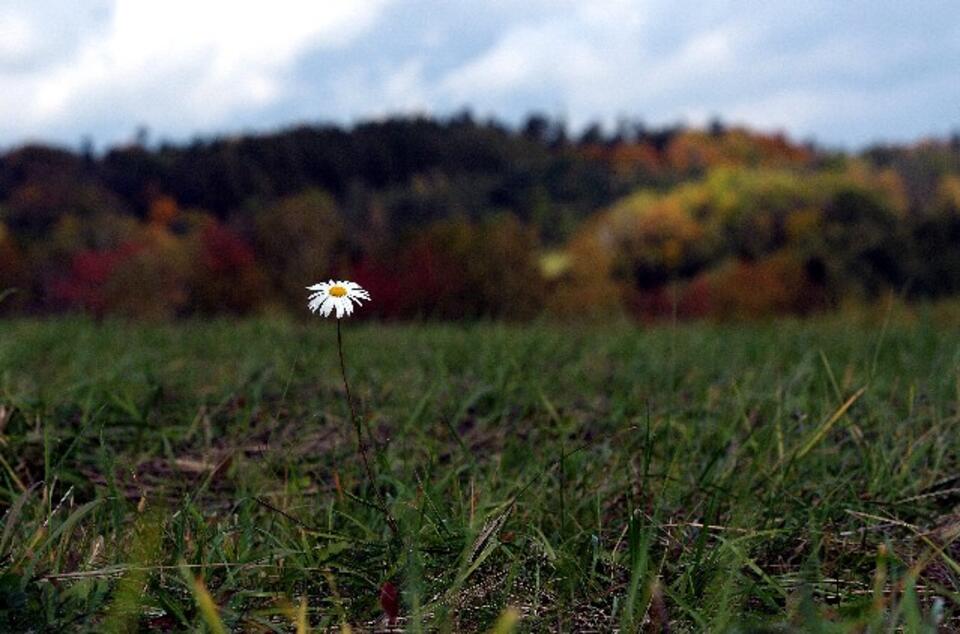 "Sami uczyńmy wiosnę" - apeluje Krzysztof Czabański. PA