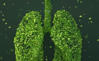 Przełom w badaniach chorób opłucnej