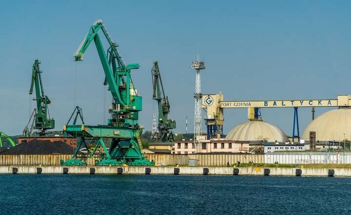 Port w Gdyni / autor: Fratria / AS