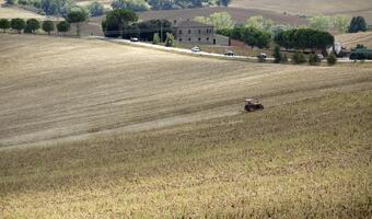 OSW: Rosja wstrzymuje eksport zbóż na Białoruś i Kazachstan