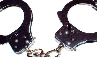 Niewolnik z wolnego wybiegu: Ile wolności naprawdę mamy