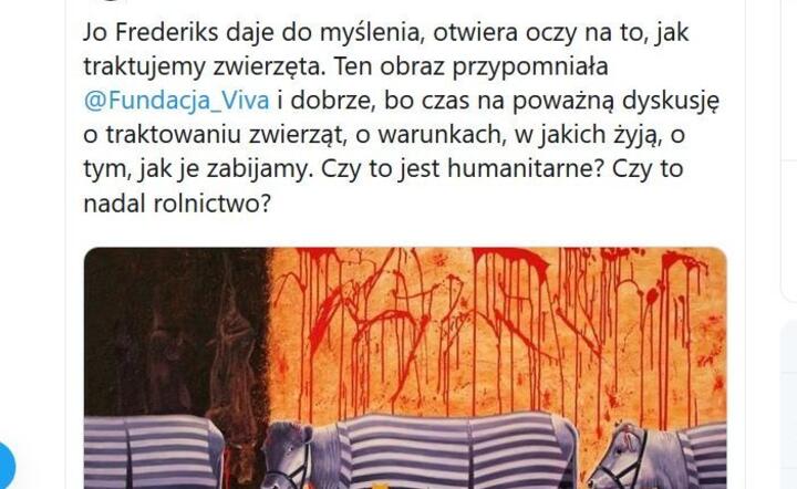 Sylwia Spurek nie po raz pierwszy 'błyszczy' tego typu wypowiedziami / autor: fot. Twitter