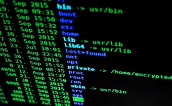 Hakerzy bombardują polski sektor użyteczności publicznej