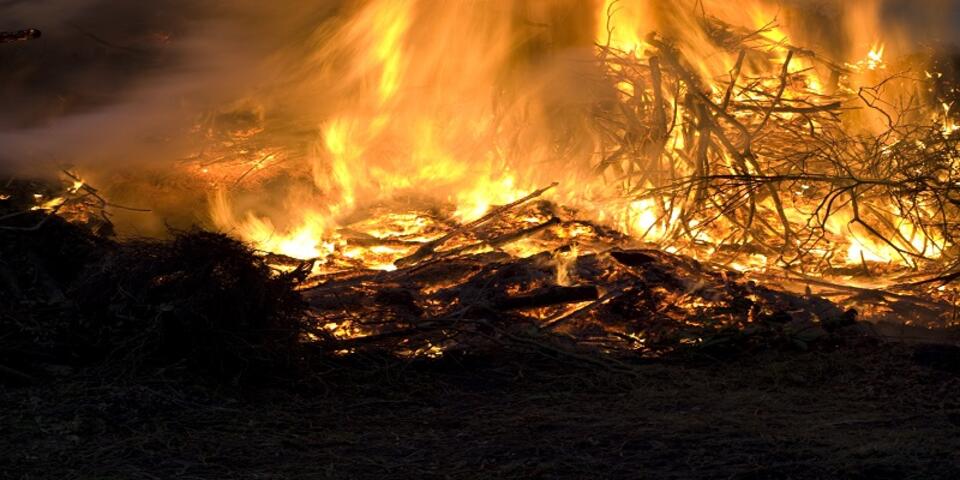 Fot. freeimages.com (zdjęcie ilustracyjne)