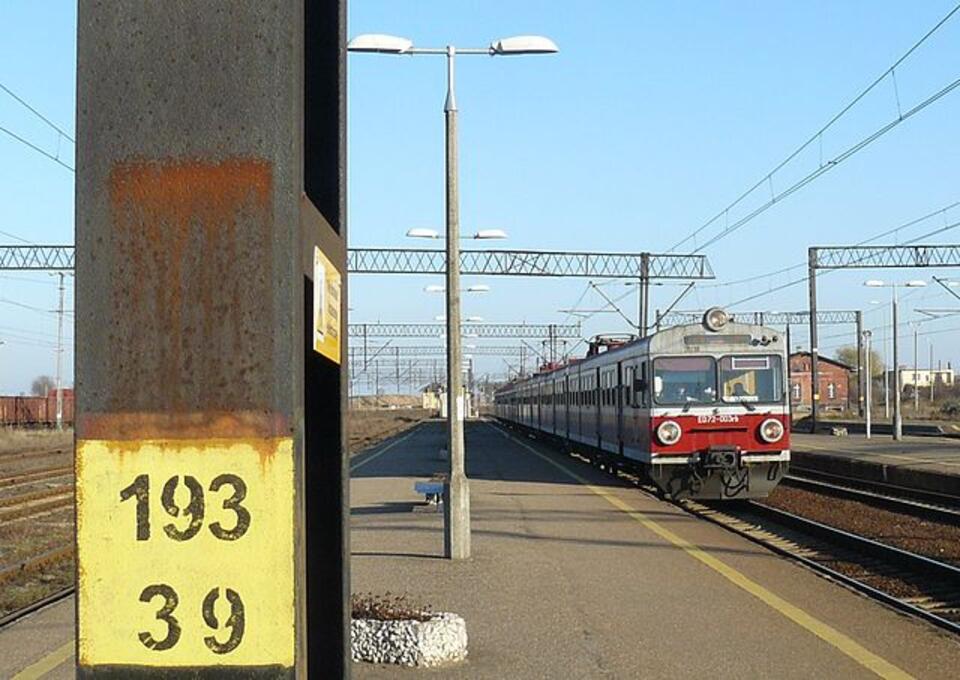 fot. Wikimedia/ MOs810/licencja CC 3.0/GFDL