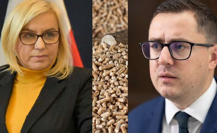 Minister klimatu Paulina Hennig-Kloska (L) i minister energii Miłosz Motyka (P) nie sugerują działań na rynku pelletu / autor: Fratria  x 2 / Pixabay