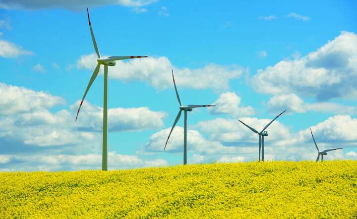 Toruńska ONDE SA specjalizuje się wykonywaniu infrastruktury dla farm wiatrowych. Nz. farma wiatrowa Radzyń Chełmiński / autor: materiały prasowe ONDE