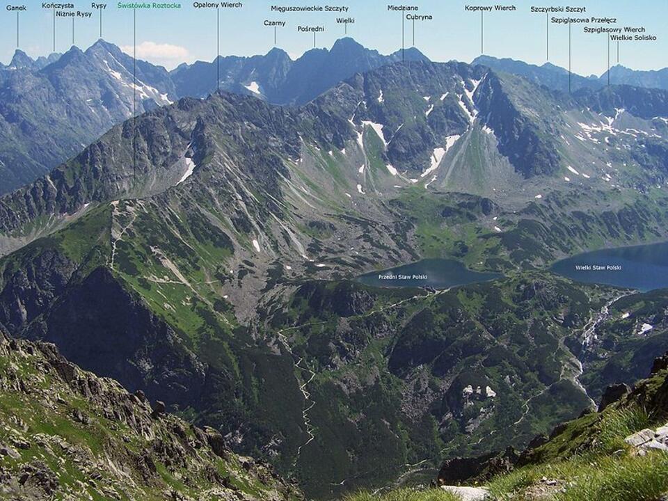 Fot. Wikipedia