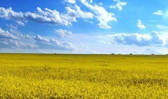 Ile wart jest Kijów?