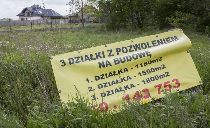Wybór parceli jest tej wiosny wyraźnie mniejszy niż przed rokiem / autor: Fratria / Andrzej Wiktor