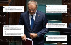 Na zdjęciu Donald Tusk oraz wpisy z X (screeny) / autor: Fratria/X