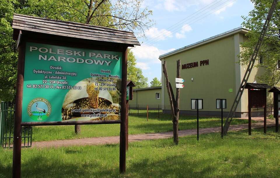 Poleski Park Narodowy / autor: Azymut (Rafał M. Socha), CC BY-SA 4.0 <https://creativecommons.org/licenses/by-sa/4.0>, via Wikimedia Commons