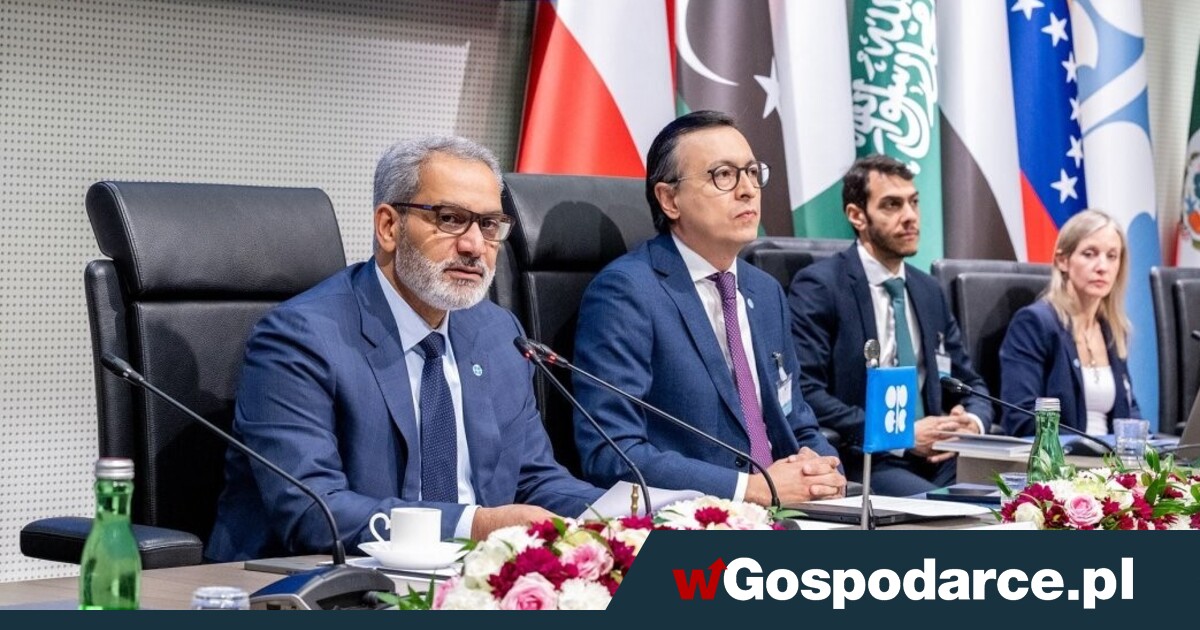 Zwrot na rynku ropy! Mocne 11 minut OPEC+