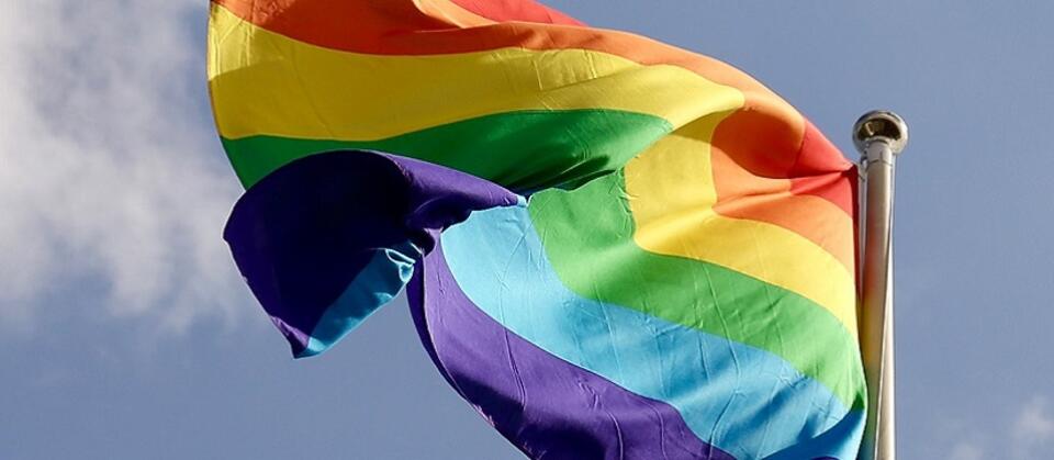 Flaga LGBT / autor: Pixabay