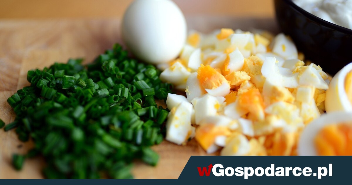 Podwyższony cholesterol? Nie musisz rezygnować z jajek