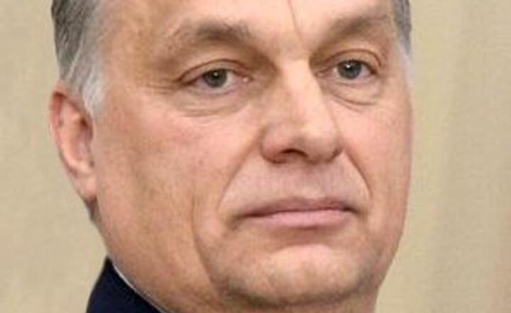 Viktor Orban / autor: Wikipedia