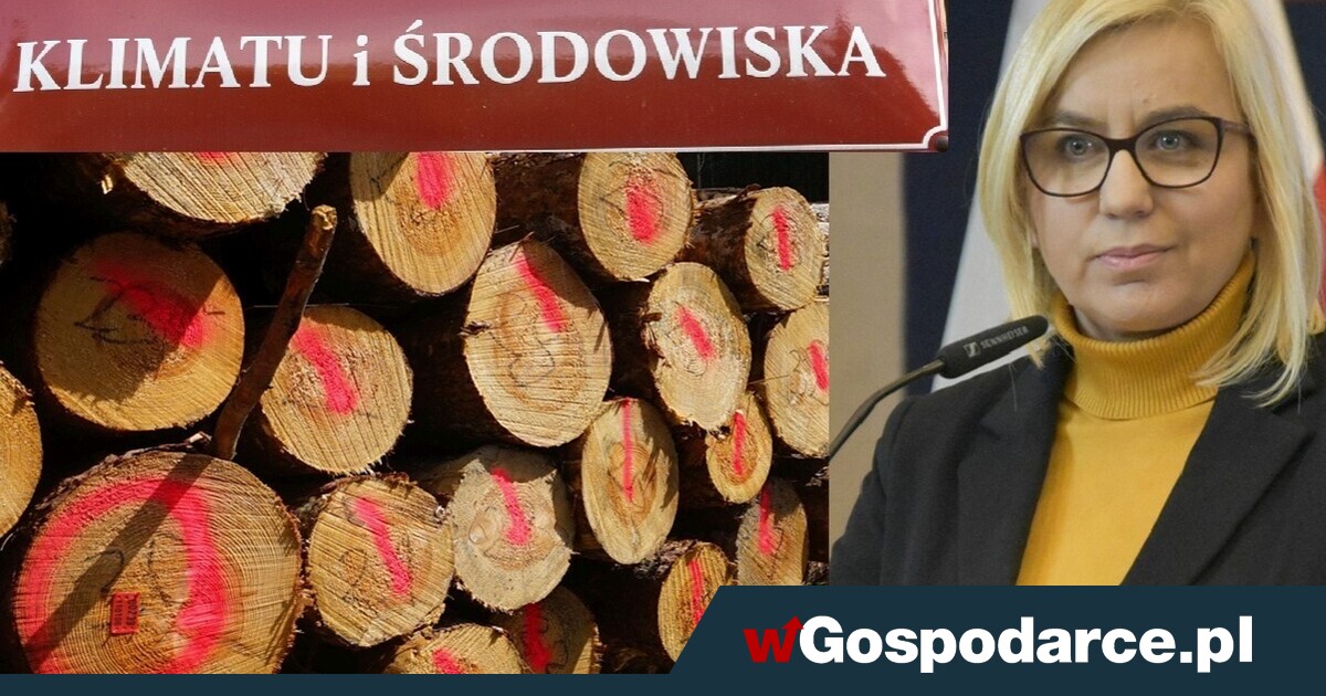 Sektor drzewny traci cierpliwość. Skarga na Hennig-Kloskę