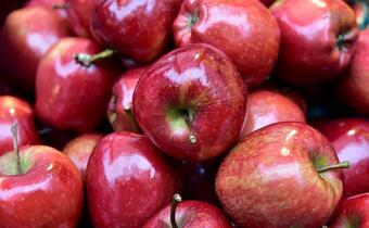 Z polskiego sadu na światowe stoły – jak Portugalczyk pokochał polskie jabłka