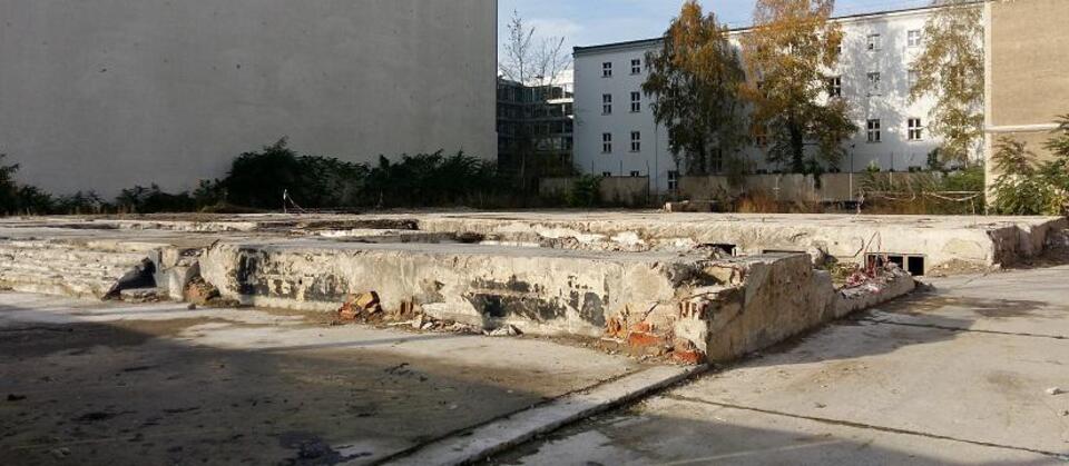 autor: fot. Stefan Hambura