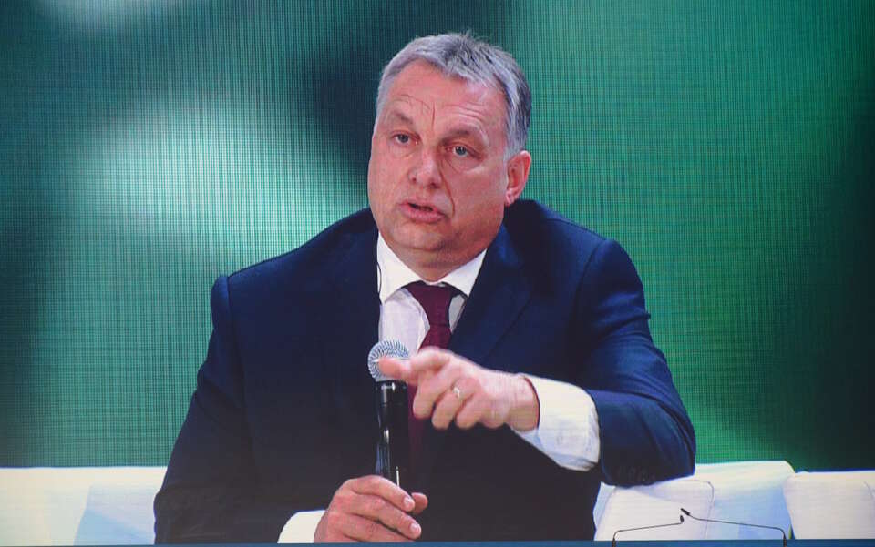 autor: Maciej Wośko