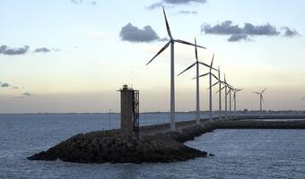 Szkoci się zazielenią - do 2030 roku chcą korzystać tylko z energii odnawialnej
