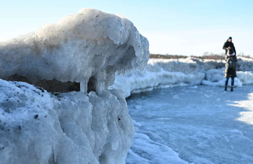 autor: PAP/Adam Warżawa