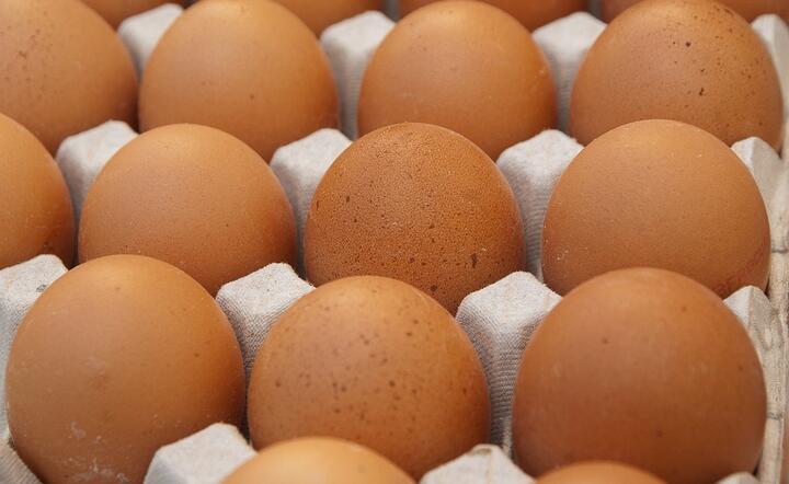 Ale jaja – są teraz droższe od mięsa z drobiu!