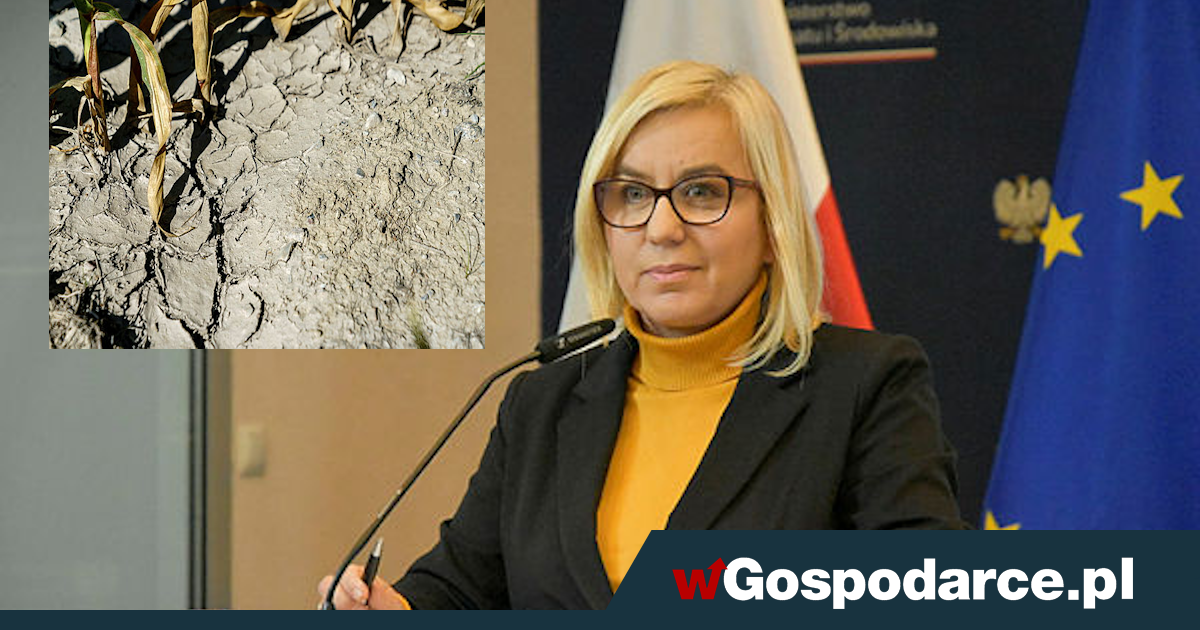 Wysycha jedna trzecia Polski. To kpina, co robi rząd