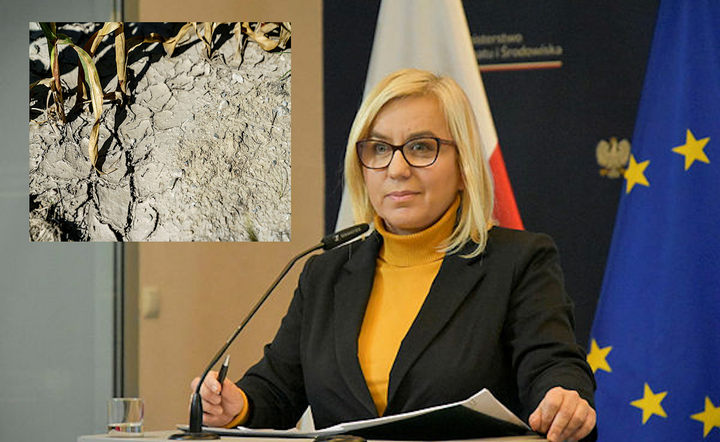 Ministra klimatu i środowiska Paulina Hennig-Kloska / autor: Fratria
