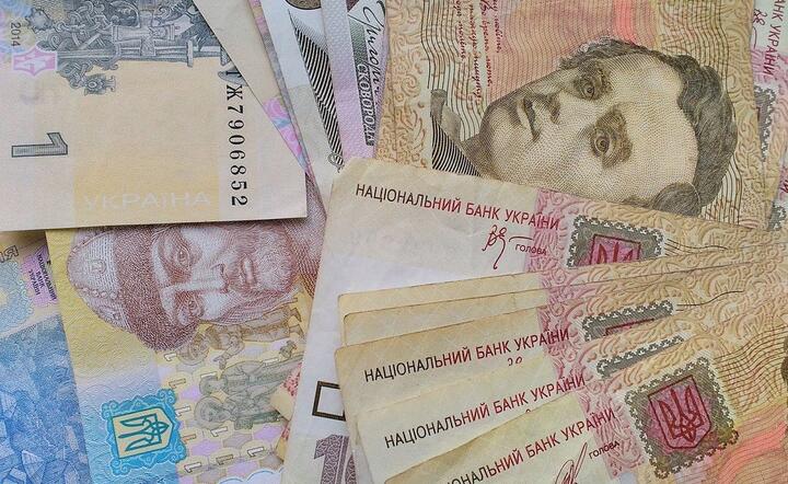 Pieniądze, hrywna. / autor: Pixabay